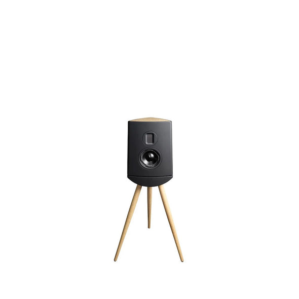 Lyngdorf Cue-100 Speakers