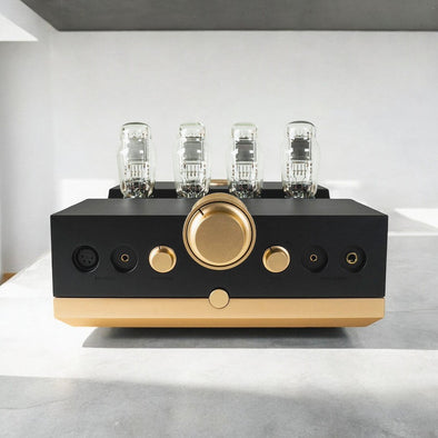 Woo Audio WA24 20th Anniversary Headphone Amplifier ON SALE SAVE $2500